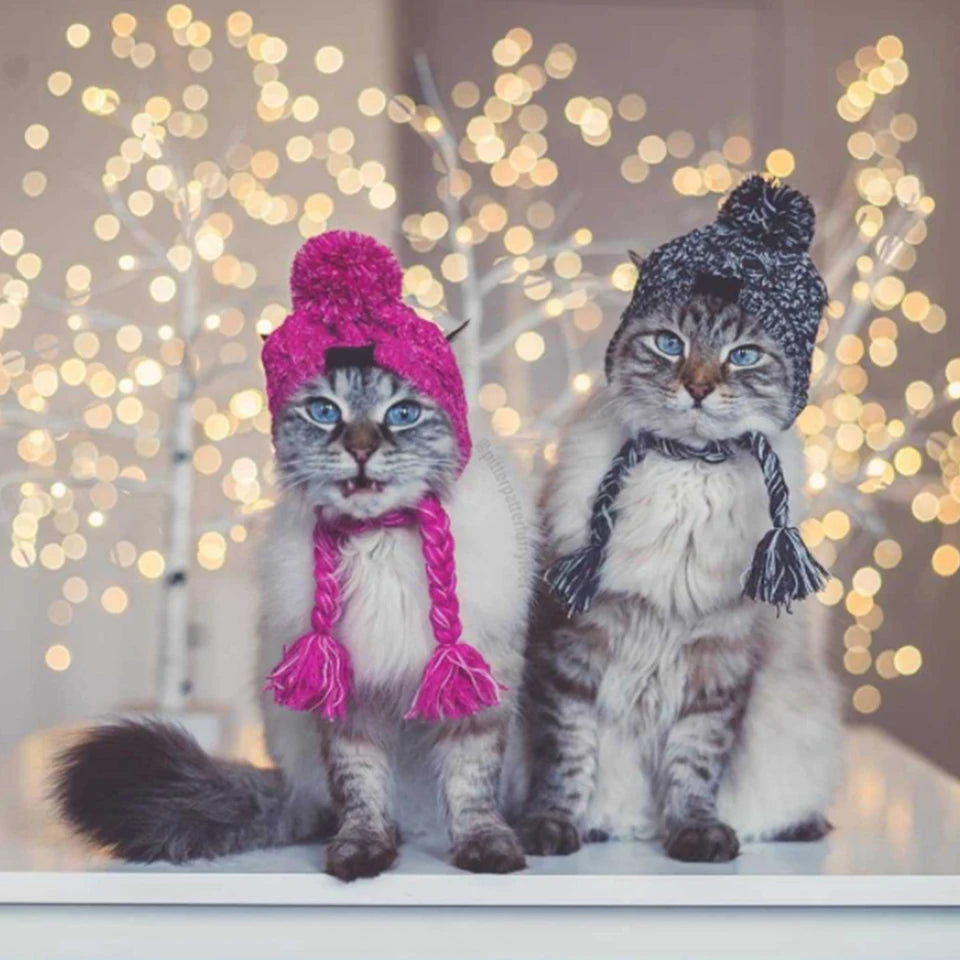 Bonnet chaud et chaud Dualpet pour chiens et chats (bouledogue français, chihuahua), bonnet d'hiver moelleux, accessoires pour animaux de compagnie, tailles SML