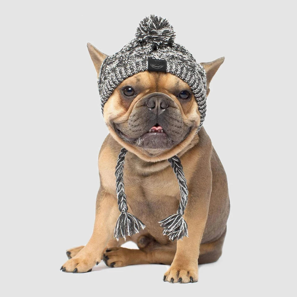 Bonnet chaud et chaud Dualpet pour chiens et chats (bouledogue français, chihuahua), bonnet d'hiver moelleux, accessoires pour animaux de compagnie, tailles SML